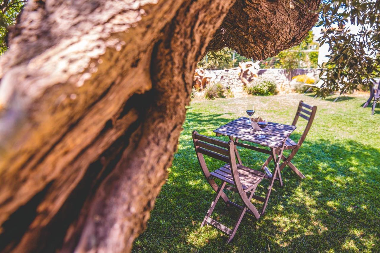 Trulli-Eu Guesthouse ألبيروبيللو المظهر الخارجي الصورة